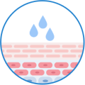 4. MOISTURE BOOST